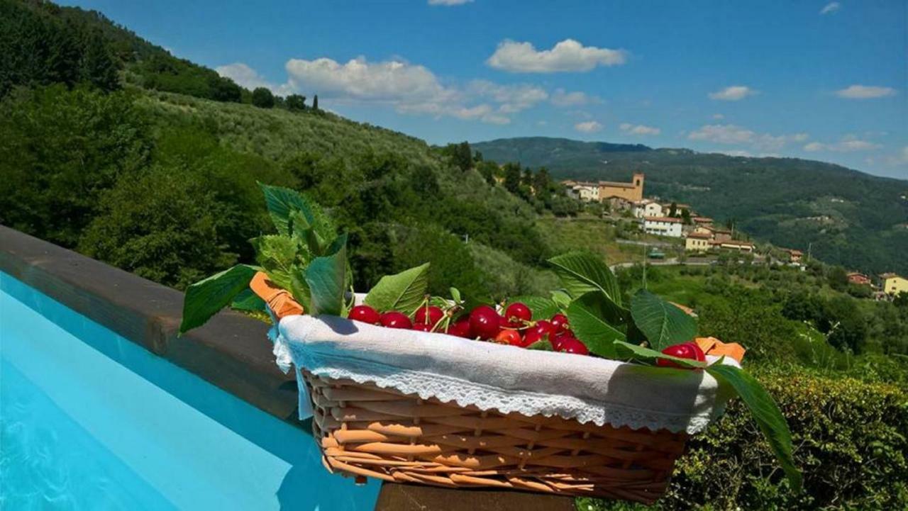 Podere Gianpaolo 페시아 외부 사진